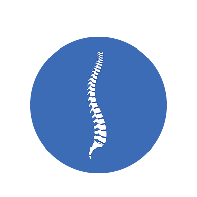 An icon that shows the spine