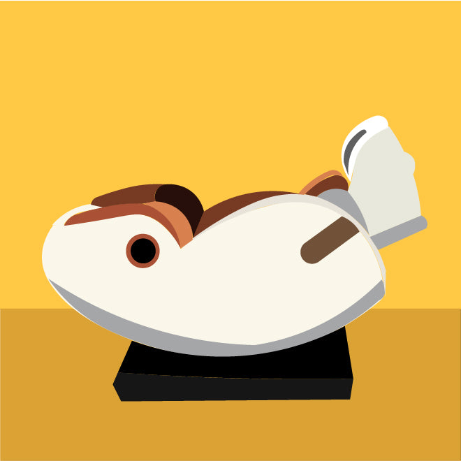 Zero Gravity Position